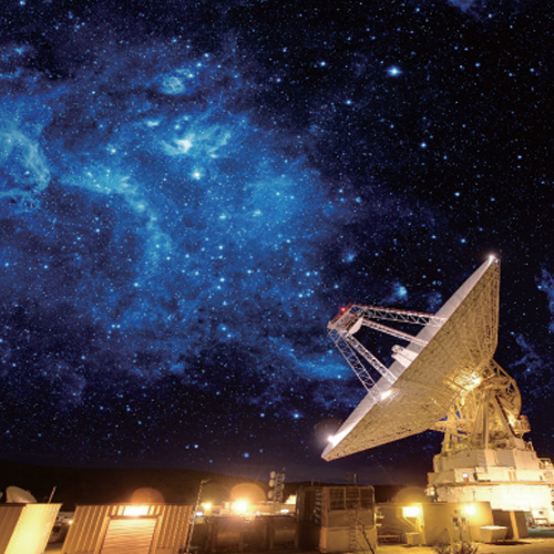 �p��������������